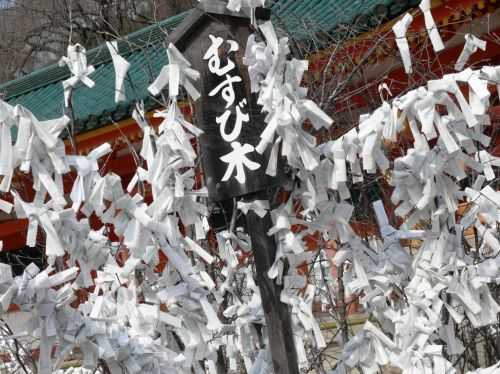 MARATONA DI TOKYO 2015 2013